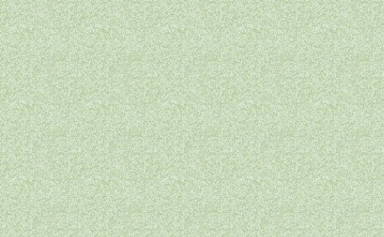 纹理图片1063