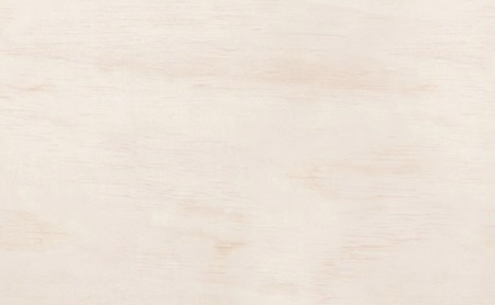 纹理图片1380-polish-wood