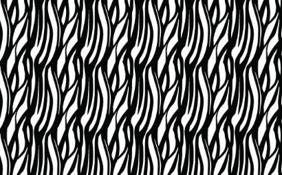 纹理图片18-Zebra Stripe Pattern