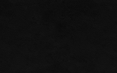 纹理图片296-dark_leather