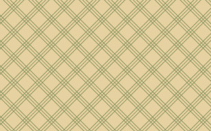 纹理图片10-Beige Plaid