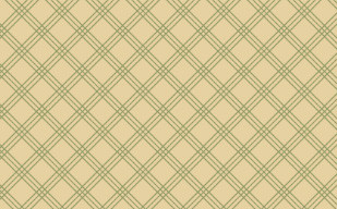 纹理图片10-Beige Plaid