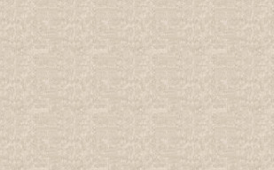 纹理图片1032