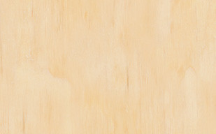 纹理图片1183-polished-wood