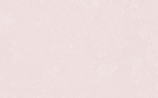纹理图片1201-pink_rice