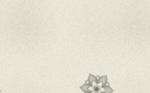 纹理图片1315-paper-flower