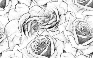 纹理图片1467-素描玫瑰花无缝平铺背景图案
