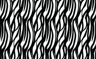 纹理图片18-Zebra Stripe Pattern