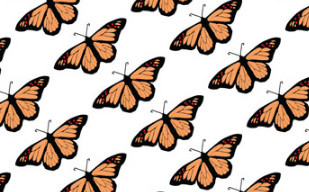 纹理图片1992-橙色花蝴蝶无缝平铺背景图片