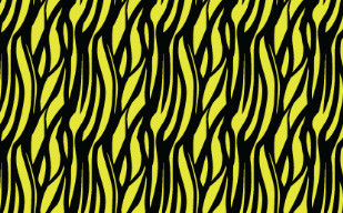 纹理图片20-Neon Zebra Pattern