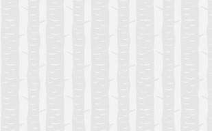 纹理图片252-tree_bark