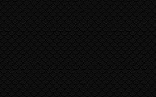 纹理图片274-black_scales