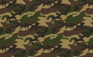 纹理图片39-Free Green Camouflage