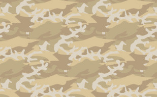 纹理图片41-Free Camouflage Pattern – Desert