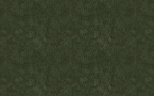 纹理图片978