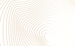 透明PNG金色质感指纹树纹线条形状背景图片-纹理图片2374